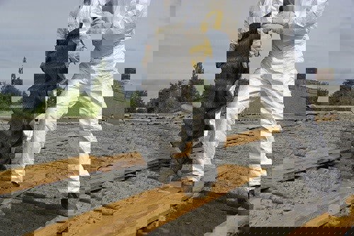 Critics accuse the government of 'looking the other way' on the asbestos problem. Photograph: iStock