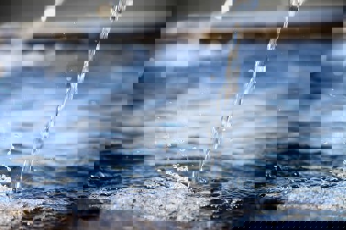 Knowing how much water you use and how much it costs is a great starting point. Photograph: iStock